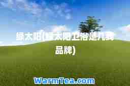 绿太阳(绿太阳卫浴是几线品牌)