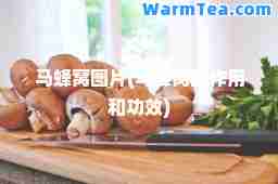 马蜂窝图片(马蜂窝的作用和功效)