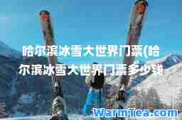 哈尔滨冰雪大世界门票(哈尔滨冰雪大世界门票多少钱一张2023)