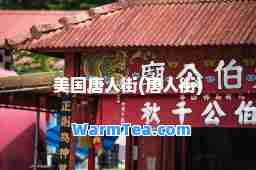 美国唐人街(唐人街)