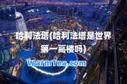 哈利法塔(哈利法塔是世界高楼吗)