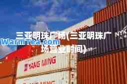三亚明珠广场(三亚明珠广场营业时间)