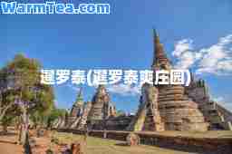 暹罗泰(暹罗泰爽庄园)