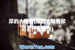 摩的大飚客(摩的大飚客歌词是什么意思)