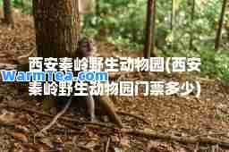 西安秦岭野生动物园(西安秦岭野生动物园门票多少)