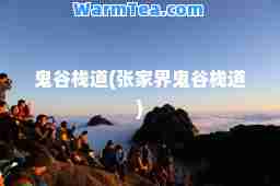 鬼谷栈道(张家界鬼谷栈道)