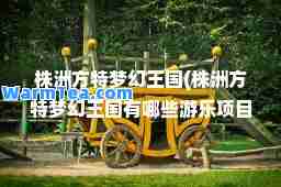 株洲方特梦幻王国(株洲方特梦幻王国有哪些游乐项目)