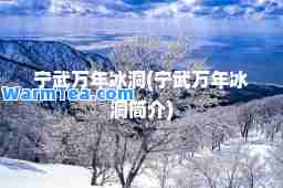 宁武万年冰洞(宁武万年冰洞简介)