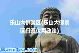 乐山大佛景区(乐山大佛景区门票优惠政策)
