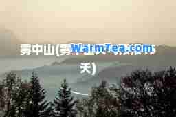 雾中山(雾中山天气预报15天)