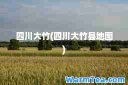 四川大竹(四川大竹县地图)