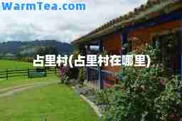 占里村(占里村在哪里)