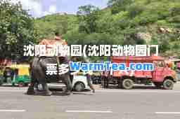 沈阳动物园(沈阳动物园门票多少钱一个人)