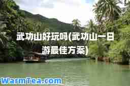 武功山好玩吗(武功山一日游方案)