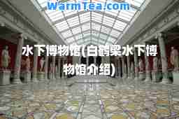 水下博物馆(白鹤梁水下博物馆介绍)