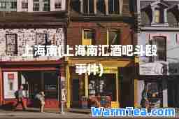 上海南(上海南汇酒吧斗殴事件)