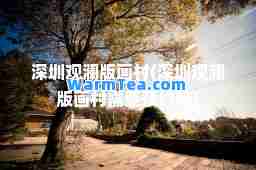 深圳观澜版画村(深圳观澜版画村需要预约吗)