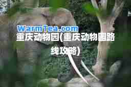 重庆动物园(重庆动物园路线攻略)