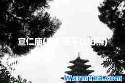 宣仁庙(宣仁庙不让拍照)