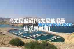 乌尤尼盐沼(乌尤尼盐沼观赏时间)