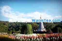 南郊公园(成都南郊公园)