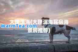 大理洱海(大理洱海民宿海景房)