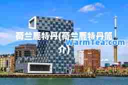 荷兰鹿特丹(荷兰鹿特丹简介)