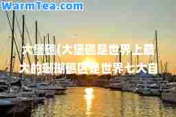 大堡礁(大堡礁是世界上的珊瑚礁区是世界七大自然景观之一)
