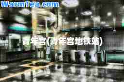 青年宫(青年宫地铁站)