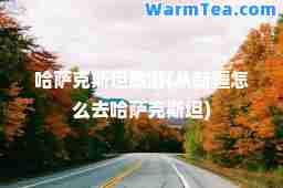 哈萨克斯坦旅游(从新疆怎么去哈萨克斯坦)