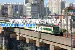 紫藤路(紫藤路地铁站是几号线)