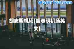 胡志明机场(胡志明机场英文)