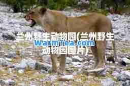 兰州野生动物园(兰州野生动物园图片)