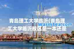 青岛理工大学临沂(青岛理工大学临沂校区是一本还是二本)