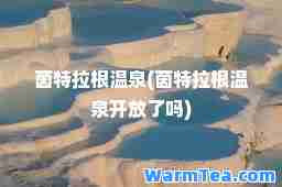 茵特拉根温泉(茵特拉根温泉开放了吗)