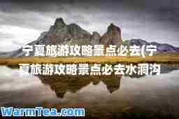 宁夏旅游攻略景点必去(宁夏旅游攻略景点必去水洞沟)