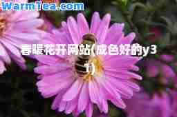 春暖花开网站(成色好的y31)
