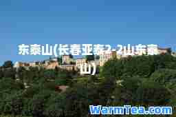 东泰山(长春亚泰2-2山东泰山)