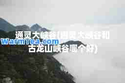 通灵大峡谷(通灵大峡谷和古龙山峡谷哪个好)