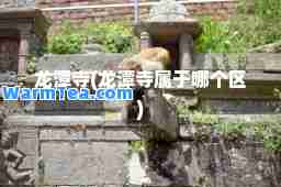 龙潭寺(龙潭寺属于哪个区)