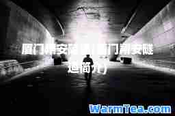 厦门翔安隧道(厦门翔安隧道简介)