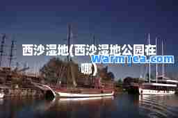 西沙湿地(西沙湿地公园在哪)