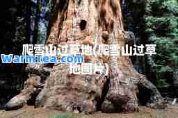 爬雪山过草地(爬雪山过草地图片)
