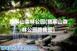 唐寨山森林公园(唐寨山森林公园路线图)