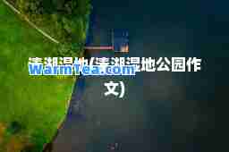 溱湖湿地(溱湖湿地公园作文)