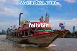 feilvbin