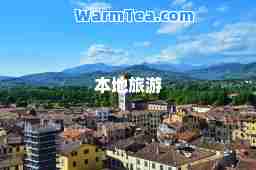 本地旅游