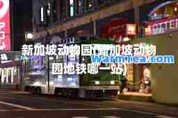 新加坡动物园(新加坡动物园地铁哪一站)