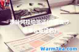 沙特签证(中国去沙特怎么签证的)
