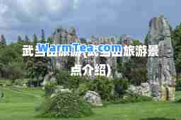 武当山旅游(武当山旅游景点介绍)